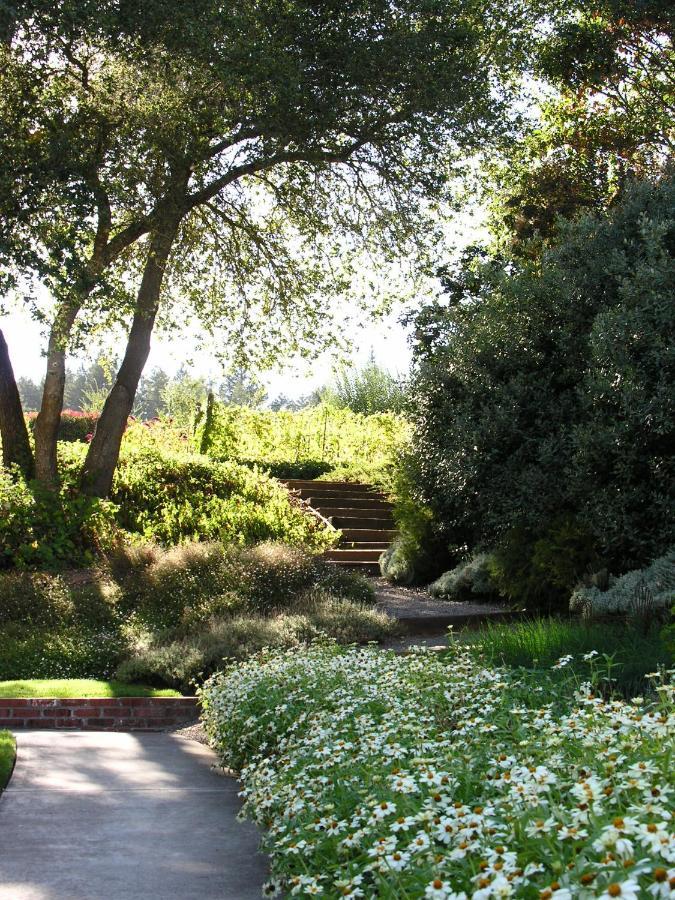 Madrona Manor Hotel Healdsburg Exterior foto